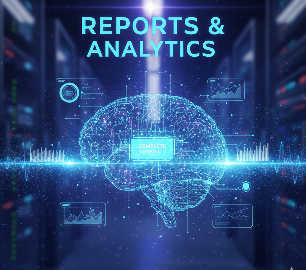 Reports & Analytics