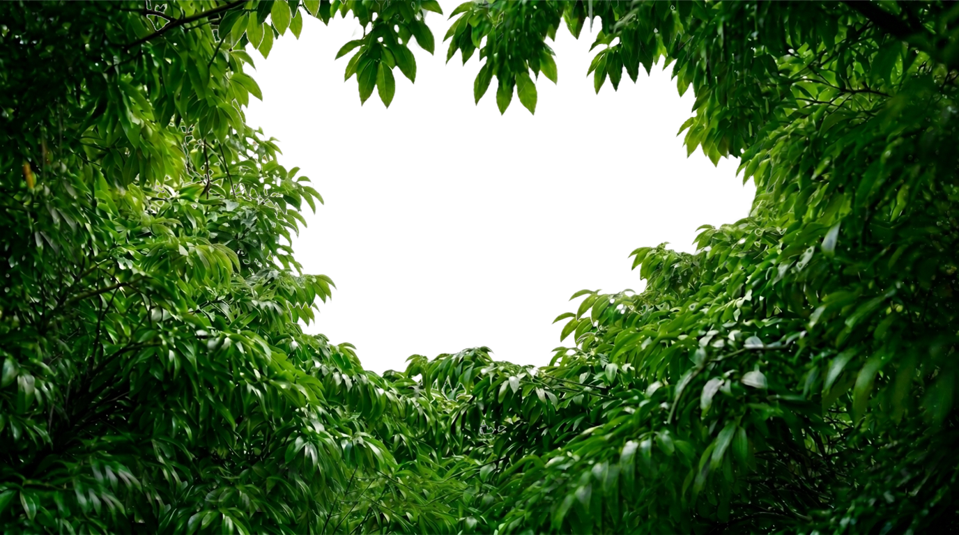 jet window