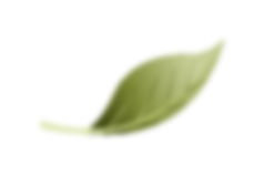 Leaf Decoration