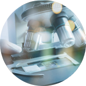Microbiology lab microscope image